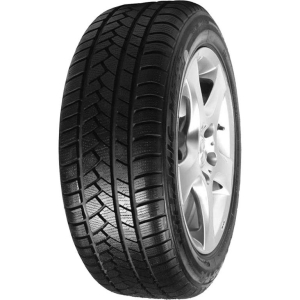 MALATESTA 205/55R16 MALATESTA THERMIC M79T 91V Studless 3PMSF