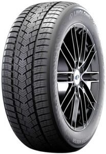 255/30R19 SPORT MASTER WINTER 91V XL FR